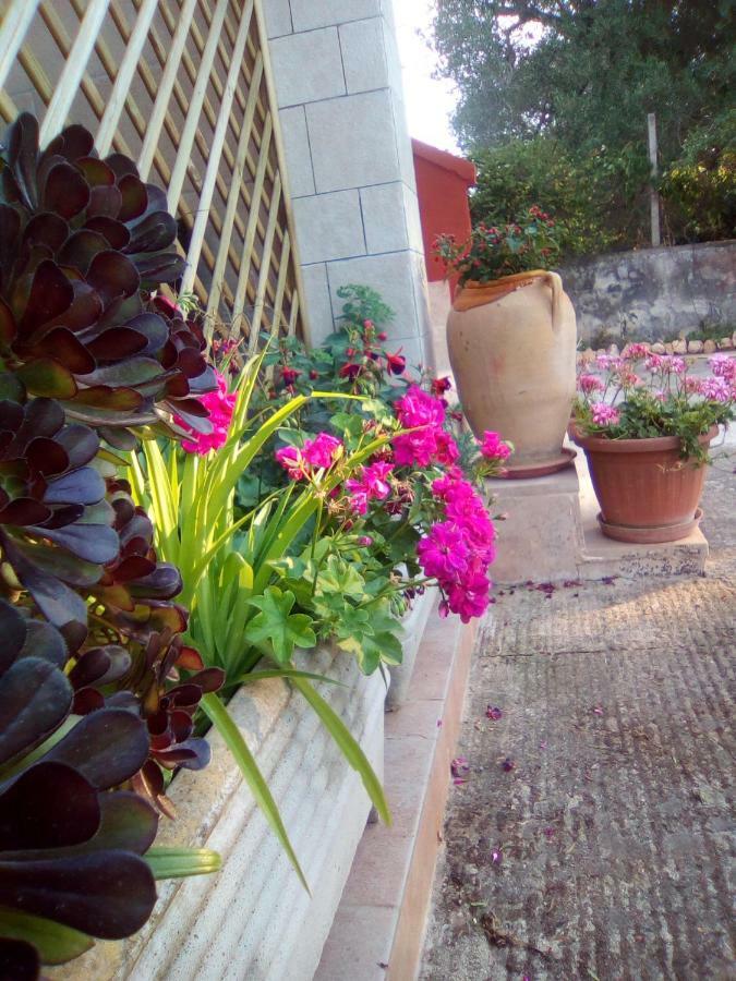 Casa te la Bradamante Magliano Exterior foto