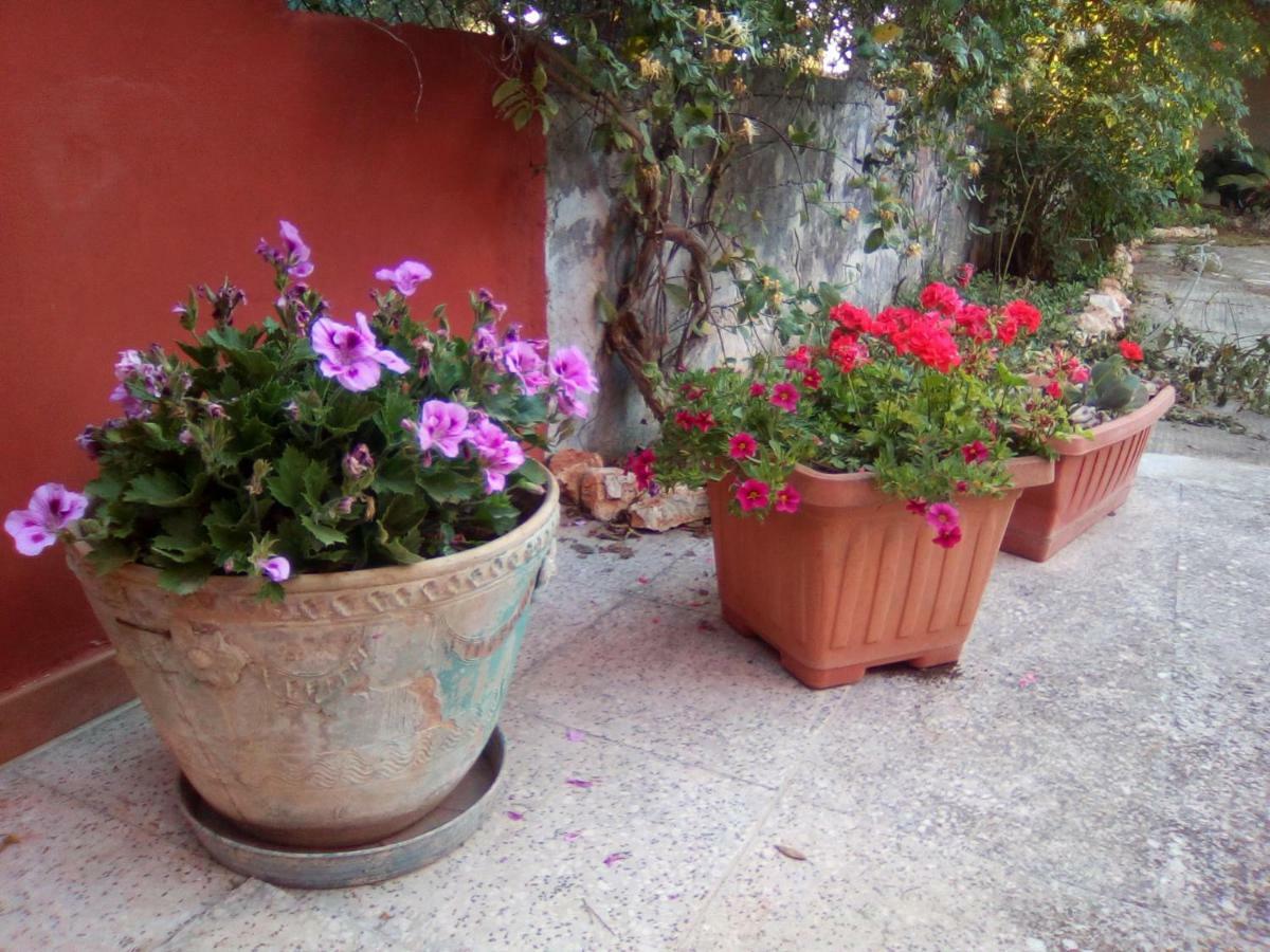 Casa te la Bradamante Magliano Exterior foto